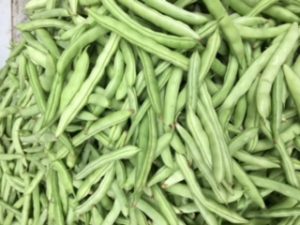 Fresh Green beans at Capitol Market in Charleston WV! The best farmer's market in the state!!